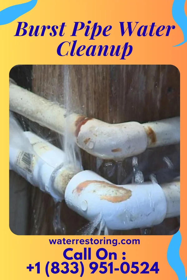 Burst Pipe Water Cleanup in Rauchtown, PA