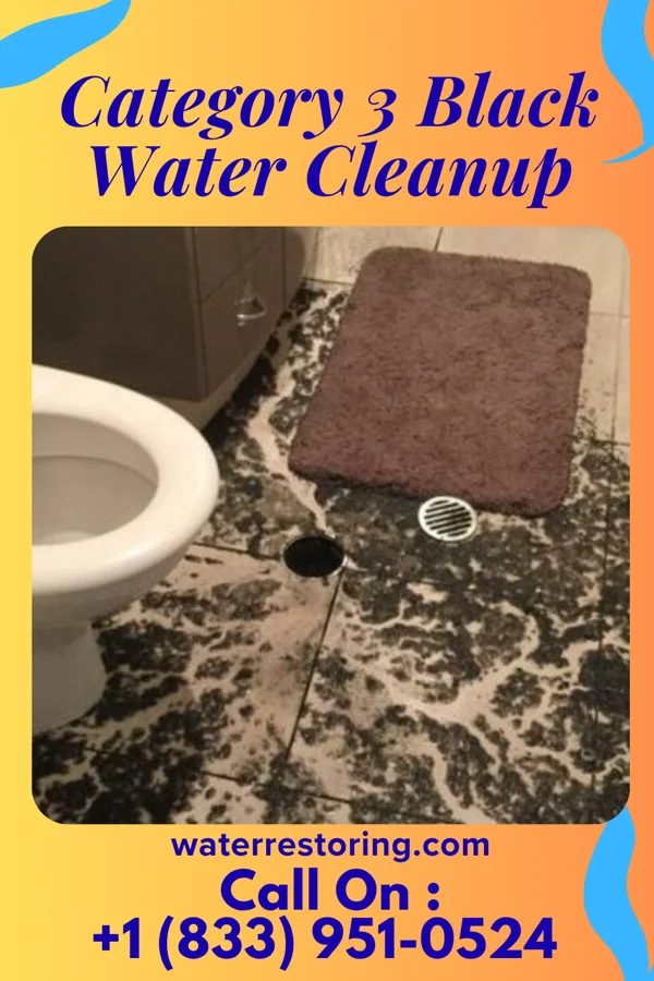 Category 3 Black Water Cleanup in Rauchtown, PA