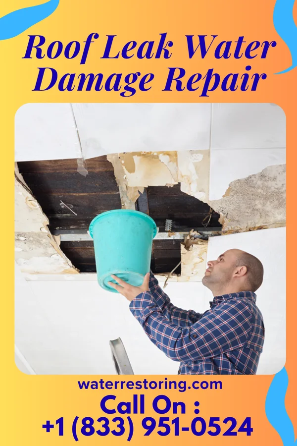 Roof Leak Water Damage Repair in Rauchtown, PA