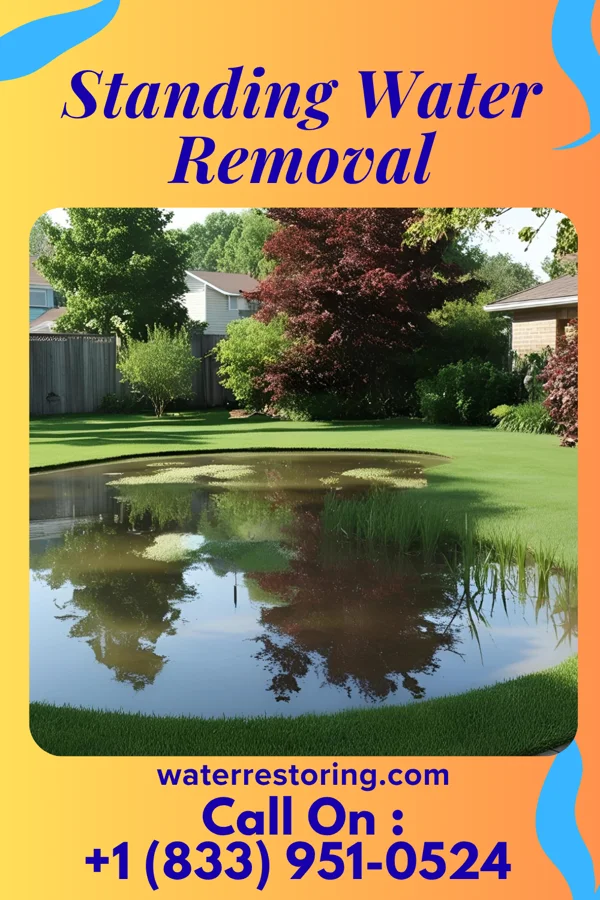 Standing Water Removal in Rauchtown, PA